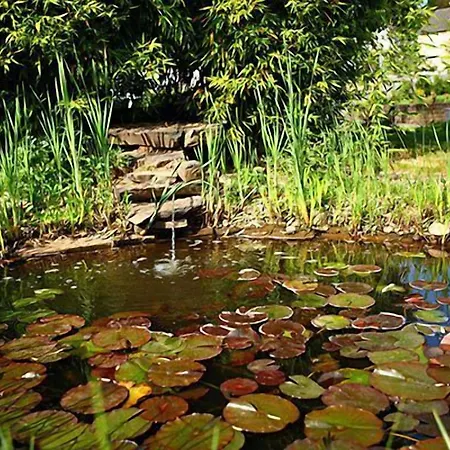 - Restaurant Dahm Erpeldange