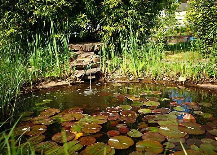 - Restaurant Dahm Erpeldange